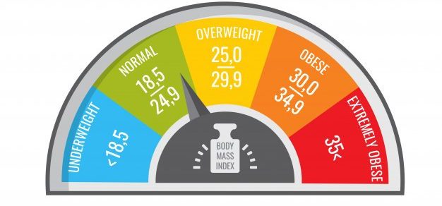 index-body-mass-bmi-medical-fitness-chart-vector-weight-indicator_53562-4978 (1)