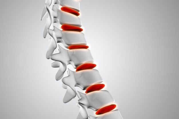3d-close-up-spine-with-discs-highlighted_1048-10226
